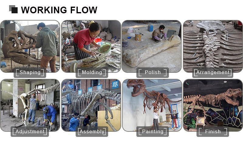 1SKELETON WORKING FLOW(001)