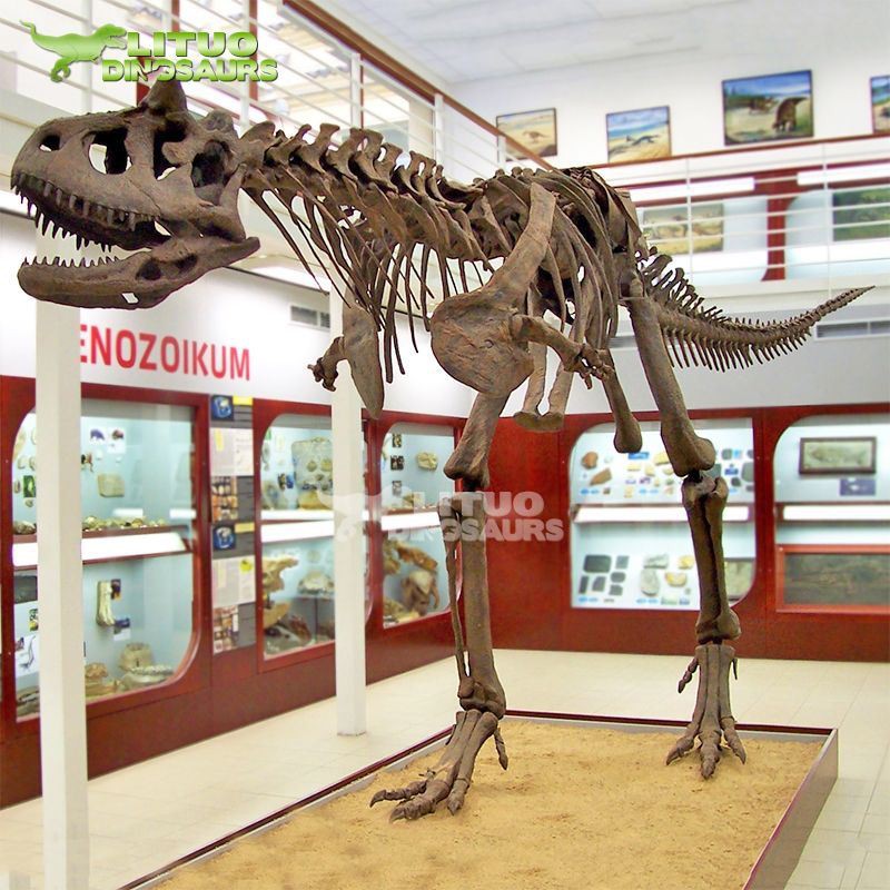 Esqueleto de Carnotaurus