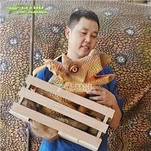 Marioneta con cabeza de Triceratops